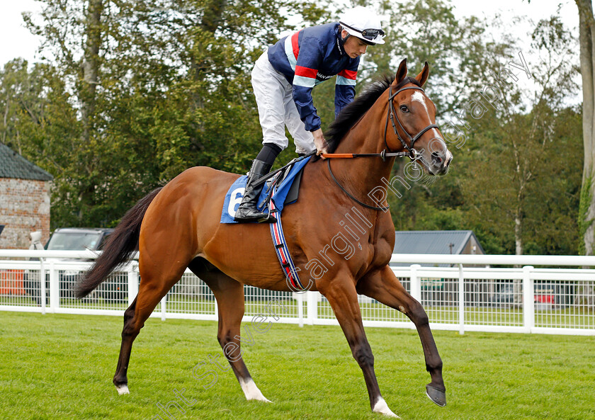 Sir-Busker-0001 
 SIR BUSKER (Callum Shepherd)
Salisbury 12 Aug 2021 - Pic Steven Cargill / Racingfotos.com