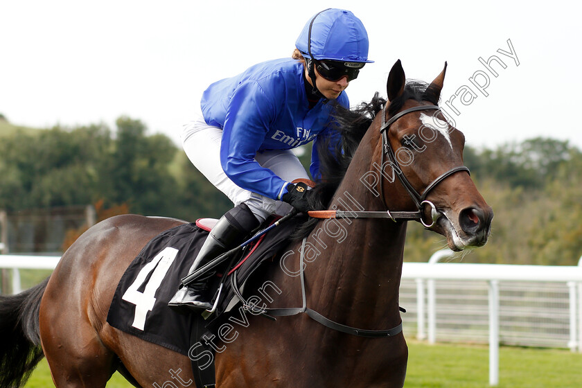 Dubai-Icon-0001 
 DUBAI ICON (Hayley Turner)
Goodwood 4 Sep 2018 - Pic Steven Cargill / Racingfotos.com