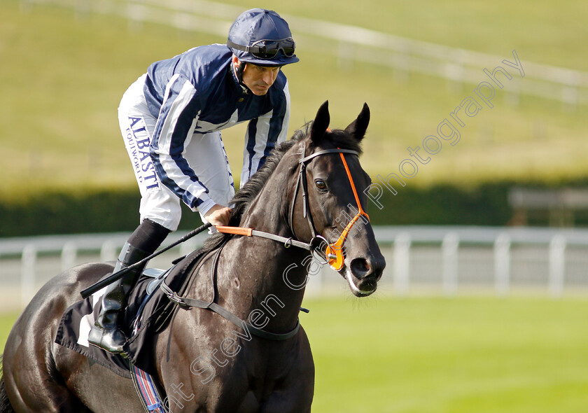 Theotherside-0001 
 THEOTHERSIDE (Pat Dobbs)
Goodwood 22 Sep 2021 - Pic Steven Cargill / Racingfotos.com