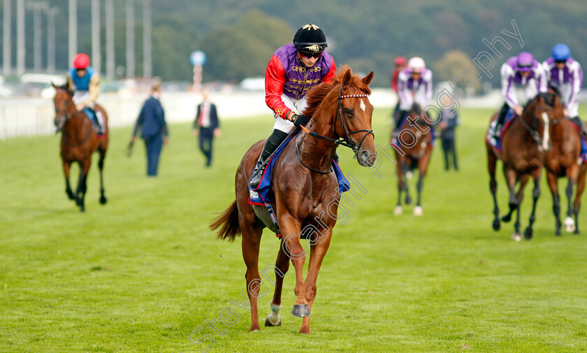 Desert-Hero-0004 
 DESERT HERO (Tom Marquand)
Doncaster 16 Sep 2023 - Pic Steven Cargill / Racingfotos.com