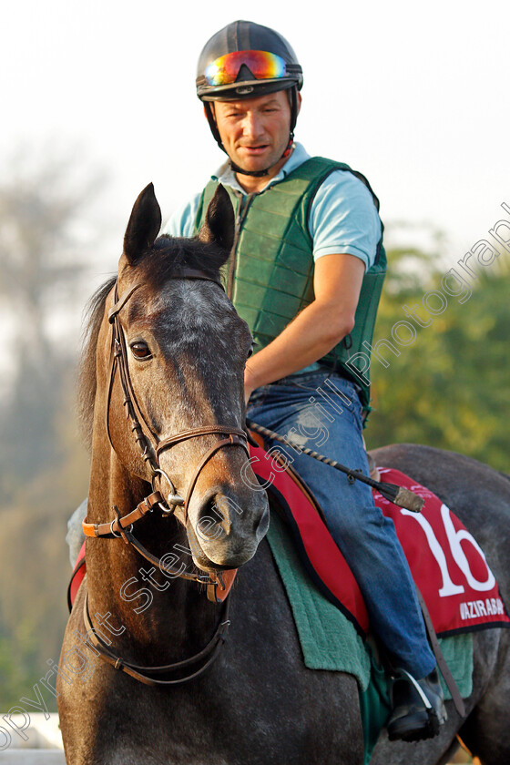 Vazirabad-0002 
 VAZIRABAD exercising in preparation for the Dubai Gold Cup Meydan 29 Mar 2018 - Pic Steven Cargill / Racingfotos.com