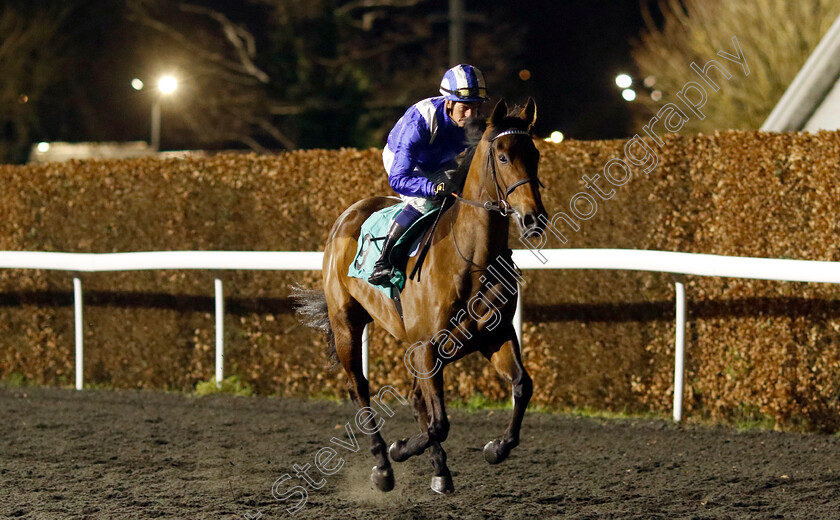 Jenubiyah-0002 
 JENUBIYAH (Jim Crowley)
Kempton 11 Dec 2024 - Pic Steven Cargill / Racingfotos.com