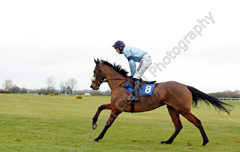 Danse-Idol-0003 
 DANSE IDOL (Lorcan Williams)
Wincanton 30 Jan 2020 - Pic Steven Cargill / Racingfotos.com