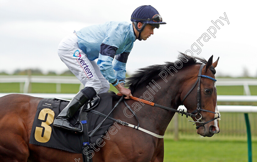 Spycatcher-0003 
 SPYCATCHER (Clifford Lee) winner of The 888sport British EBF Conditions Stakes
Newmarket 29 Oct 2021 - Pic Steven Cargill / Racingfotos.com