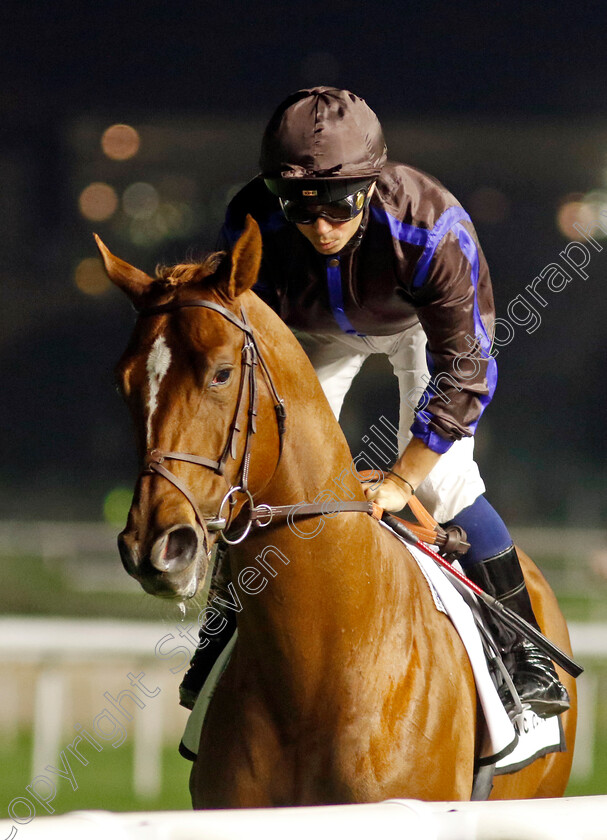 Demain-0001 
 DEMAIN (Mickael Barzalona)
Meydan 2 Feb 2024 - Pic Steven Cargill / Racingfotos.com