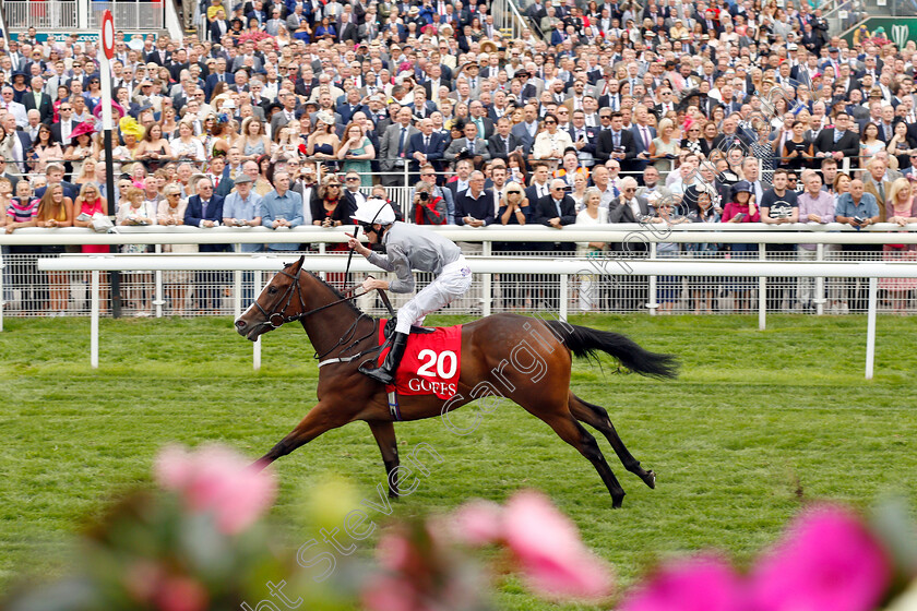 Red-Balloons-0005 
 RED BALLOONS (Barry McHugh) wins The Goffs UK Premier Yearling Stakes
York 23 Aug 2018 - Pic Steven Cargill / Racingfotos.com