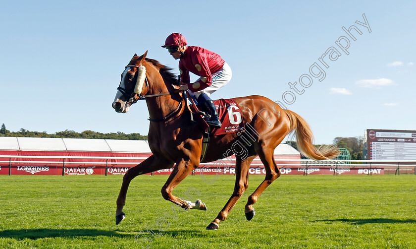 Tilted-Kilt-0001 
 TILTED KILT (Jim Crowley)
Longchamp 5 Oct 2024 - Pic Steven Cargill / Racingfotos.com