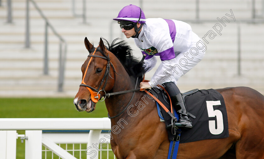 Diligently-0004 
 DILIGENTLY (Richard Kingscote)
Ascot 1 May 2024 - Pic Steven Cargill / Racingfotos.com