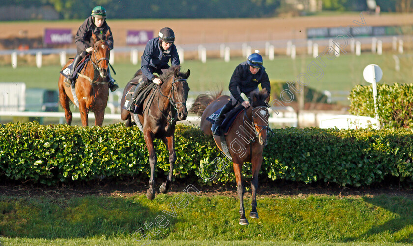 Tiger-Roll-0007 
 TIGER ROLL (right) with DELTA WORK (centre) schooling on the eve of the Cheltenham Festival
Cheltenham 14 Mar 2022 - Pic Steven Cargill / Racingfotos.com