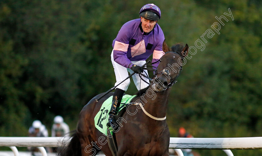 Cresta-Cat-0001 
 CRESTA CAT (Tom Queally)
Kempton 2 Oct 2024 - pic Steven Cargill / Racingfotos.com