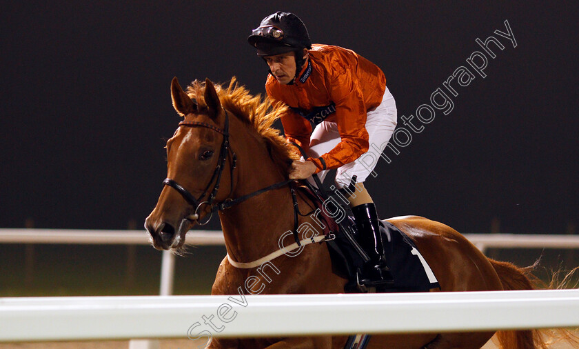 Calm-Charm-0001 
 CALM CHARM (Ted Durcan) Chelmsford 26 Sep 2017 - Pic Steven Cargill / Racingfotos.com