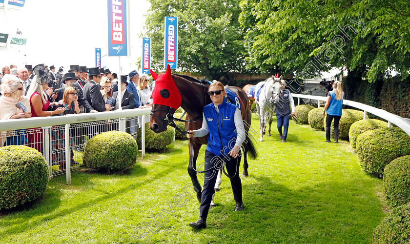 Military-Order-7557 
 MILITARY ORDER
Epsom 3 Jun 2023 - Pic Steven Cargill / Racingfotos.com