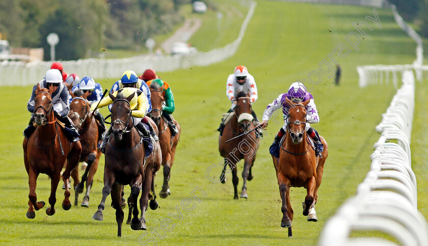 Myseven-0001 
 MYSEVEN (2nd left, Pat Cosgrave) beats TINNAHALLA (right) in The Betway Novice Stakes
Lingfield 2 Sep 2020 - Pic Steven Cargill / Racingfotos.com