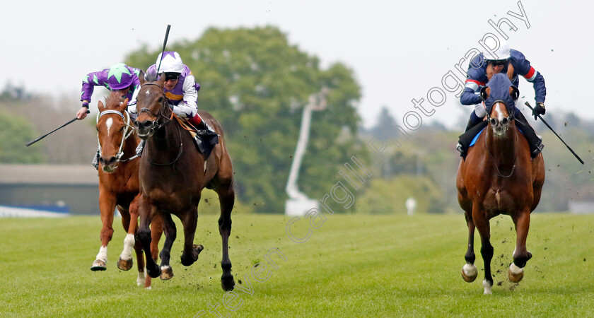 New-Mandate-0004 
 NEW MANDATE (2nd left, Frankie Dettori) beats SIR BUSKER (right) in The Paradise Stakes
Ascot 27 Apr 2022 - Pic Steven Cargill / Racingfotos.com