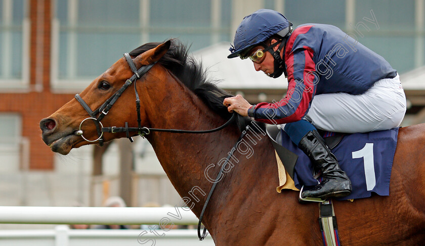 Turn-On-The-Charm-0006 
 TURN ON THE CHARM (William Buick) wins The Download The Novibet App Handicap
Lingfield 8 May 2021 - Pic Steven Cargill / Racingfotos.com