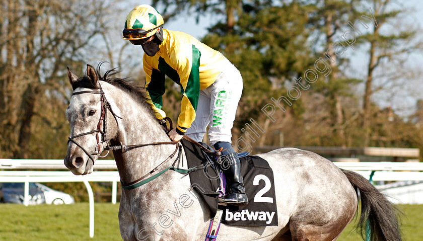 Lord-Riddiford-0001 
 LORD RIDDIFORD (Jason Hart) before The Betway Hever Sprint Stakes
Lingfield 27 Feb 2021 - Pic Steven Cargill / Racingfotos.com