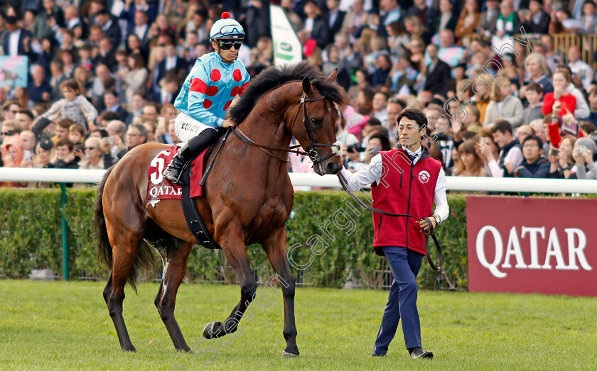 Blast-Onepiece-0001 
 BLAST ONEPIECE (Y Kawada)
Longchamp 6 Oct 2019 - Pic Steven Cargill / Racingfotos.com