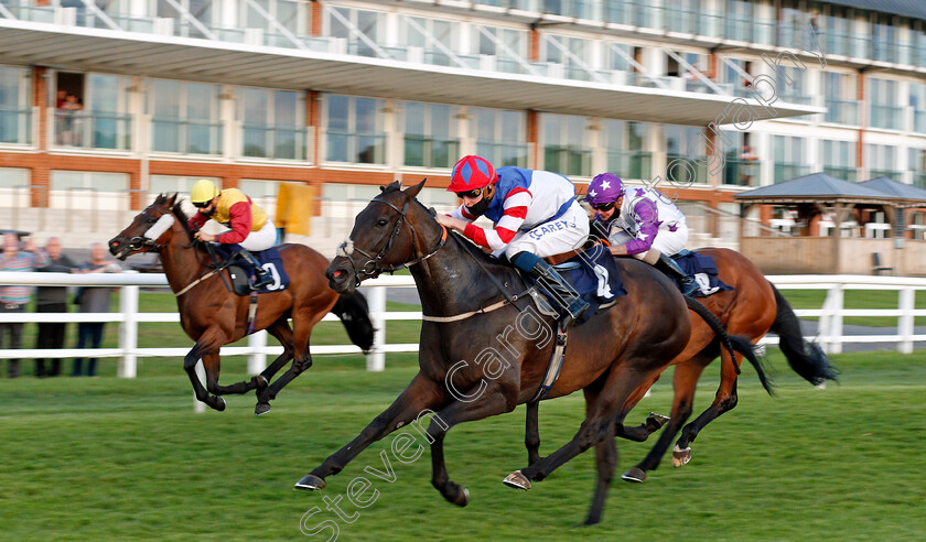 Holy-Tiber-0003 
 HOLY TIBER (Joey Haynes) wins The Heed Your Hunch At Betway Handicap
Lingfield 26 Aug 2020 - Pic Steven Cargill / Racingfotos.com