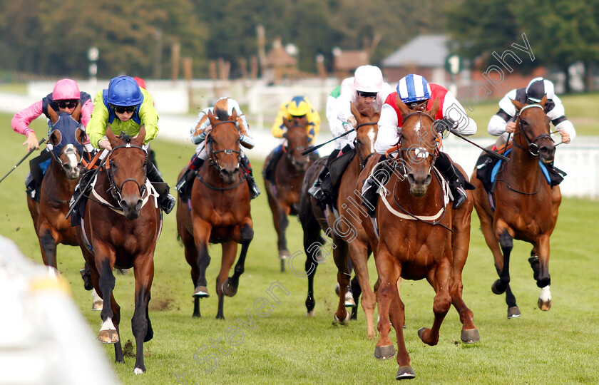 Soldier-In-Action-0001 
 SOLDIER IN ACTION (right, Silvestre De Sousa) beats AUSTRIAN SCHOOL (left) in The Royal Sussex Regiment Hanidcap
Goodwood 4 Sep 2018 - Pic Steven Cargill / Racingfotos.com