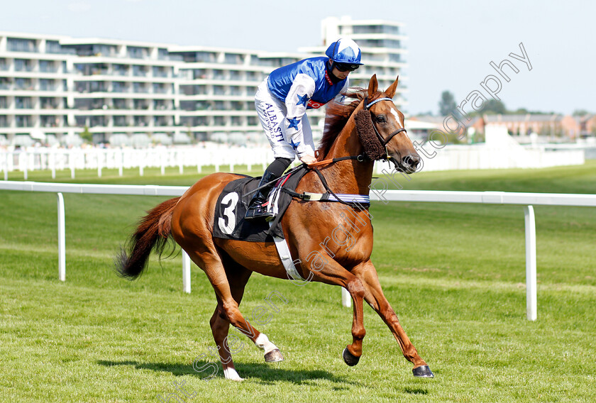 Petite-Jack-0001 
 PETITE JACK (Jack Mitchell)
Newbury 16 Jul 2021 - Pic Steven Cargill / Racingfotos.com