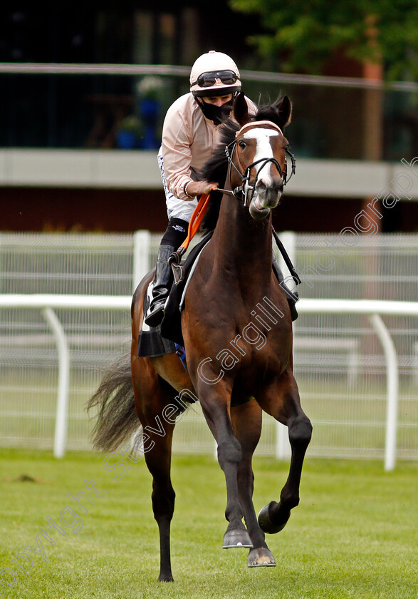 Gaius-0001 
 GAIUS (Ryan Moore)
Newbury 10 Jun 2021 - Pic Steven Cargill / Racingfotos.com