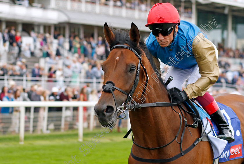 Gregory-0002 
 GREGORY (Frankie Dettori)
York 23 Aug 2023 - Pic Steven Cargill / Racingfotos.com