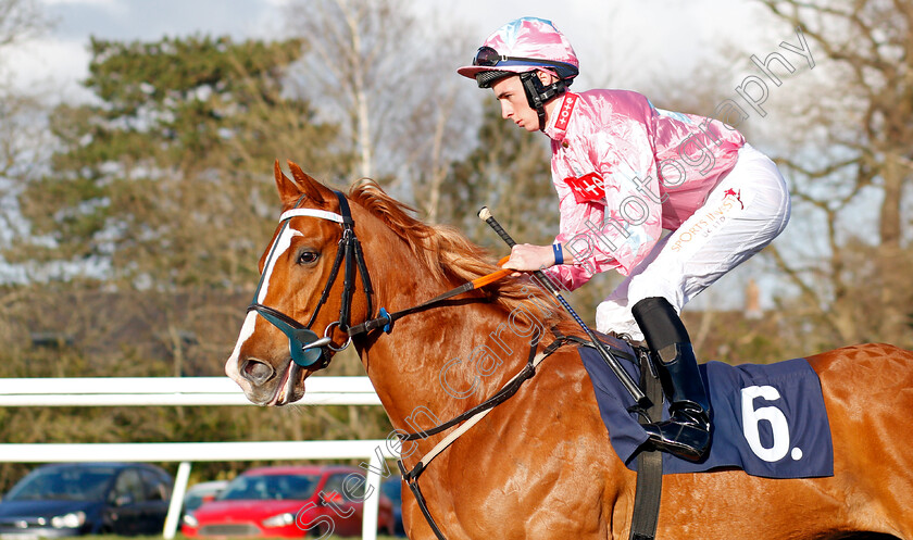 Live-In-The-Dream 
 LIVE IN THE DREAM (Rossa Ryan)
Lingfield 9 Mar 2022 - Pic Steven Cargill / Racingfotos.com