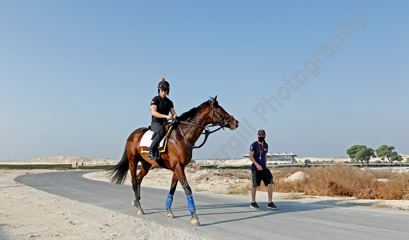 Bangkok-0005 
 BANGKOK training for the Bahrain International Trophy
Rashid Equestrian & Horseracing Club, Bahrain, 19 Nov 2020 - Pic Steven Cargill / Racingfotos.com