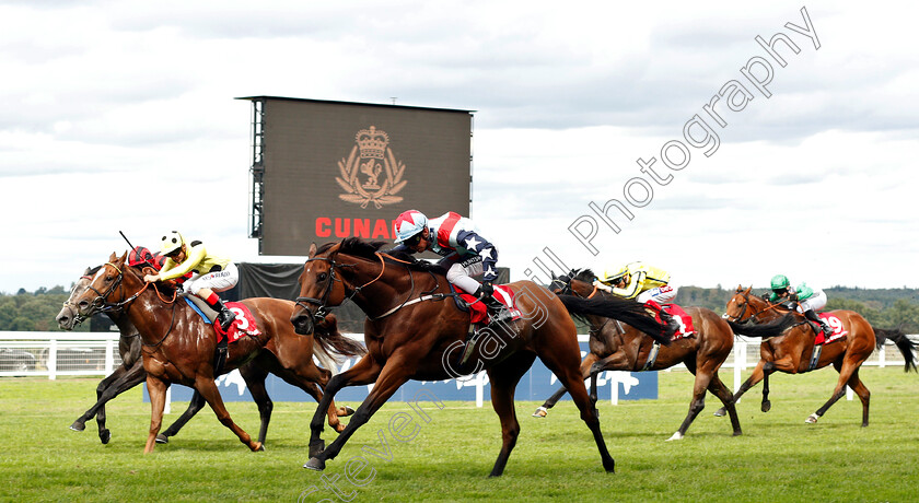 Ripp-Orf-0002 
 RIPP ORF (Jason Watson) beats CAPE BYRON (left) in The Cunard Handicap
Ascot 8 Sep 2018 - Pic Steven Cargill / Racingfotos.com