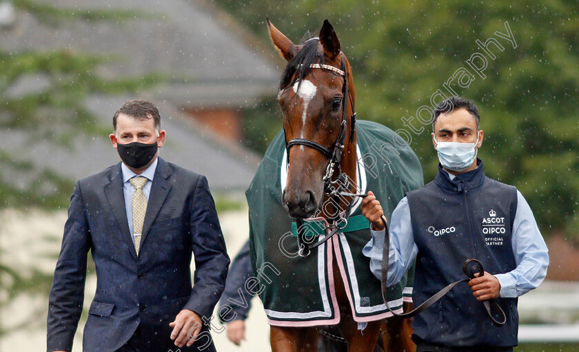 Enable-0007 
 ENABLE before winning The King George VI and Queen Elizabeth Stakes
Ascot 25 Jul 2020 - Pic Steven Cargill / Racingfotos.com