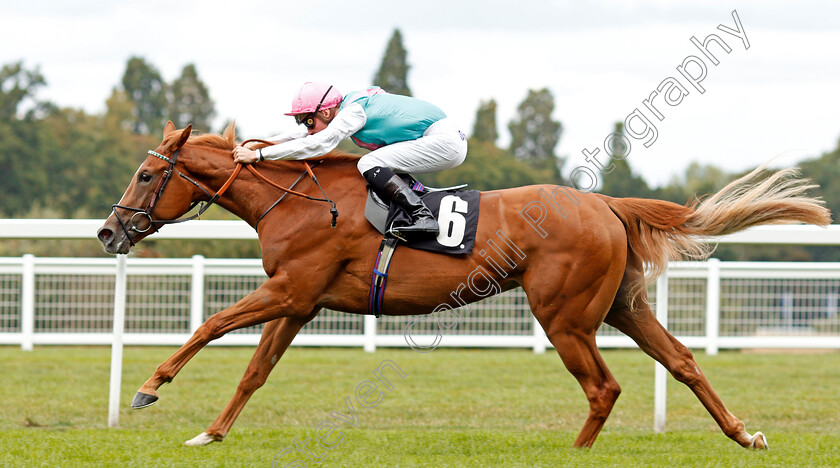 Pocket-Square-0006 
 POCKET SQUARE (Jason Watson) wins The Royal Foresters British EBF Fillies Novice Stakes
Ascot 7 Sep 2019 - Pic Steven Cargill / Racingfotos.com