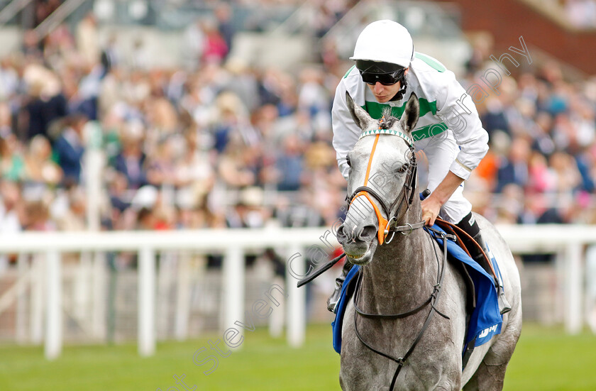 Alpinista-0003 
 ALPINISTA (Luke Morris) winner of The Darley Yorkshire Oaks
York 18 Aug 2022 - Pic Steven Cargill / Racingfotos.com