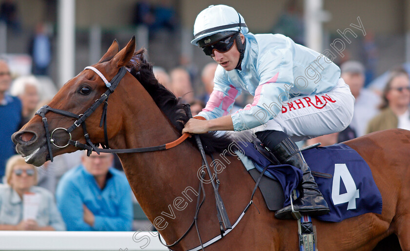 Visala-0005 
 VISALA (Tom Marquand) wins The Seadeer Handicap
Yarmouth 15 Sep 2021 - Pic Steven Cargill / Racingfotos.com