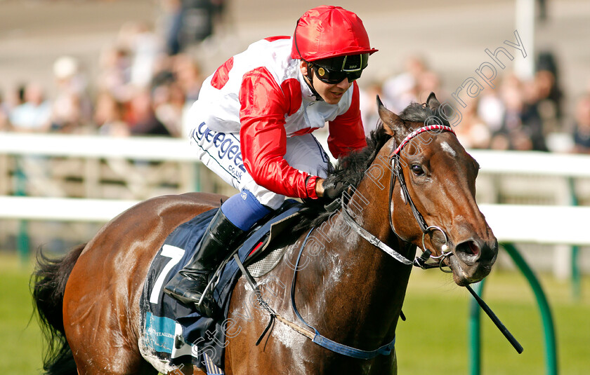 Gellhorn-0003 
 GELLHORN (Marco Ghiani)
Newmarket 23 Sep 2021 - Pic Steven Cargill / Racingfotos.com