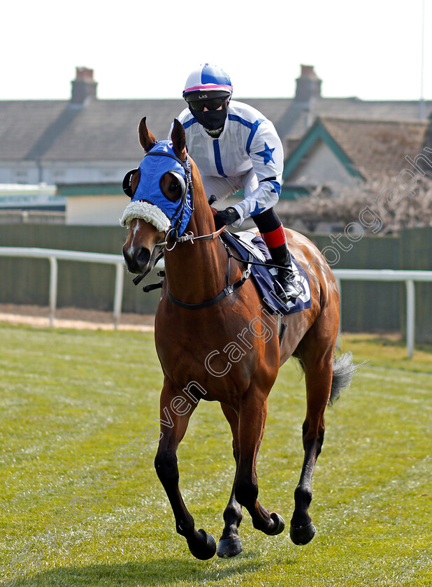 Afro-Blue-0001 
 AFRO BLUE (Josephine Gordon)
Yarmouth 20 Apr 2021 - Pic Steven Cargill / Racingfotos.com