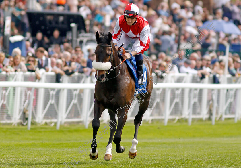 Aleezdancer-0002 
 ALEEZDANCER (Kevin Stott)
Chester 5 May 2022 - Pic Steven Cargill / Racingfotos.com