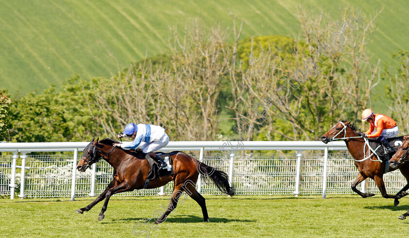 Ropey-Guest-0003 
 ROPEY GUEST (Tom Queally) wins The William Hill Extra Place Races Daily Handicap
Goodwood 26 May 2023 - Pic Steven Cargill / Racingfotos.com