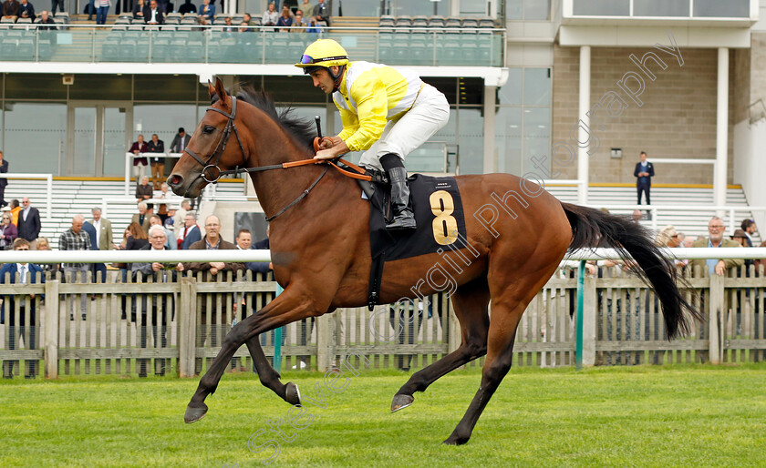 Caelan-0001 
 CAELAN (Neil Callan)
Newmarket 28 Sep 2023 - Pic Steven Cargill / Racingfotos.com