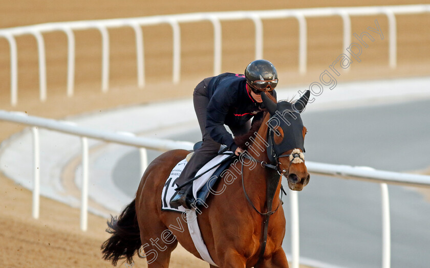 Ladies-Church-0001 
 LADIES CHURCH (Saffie Osborne) training at the Dubai Racing Carnival
Meydan 1 Mar 2024 - Pic Steven Cargill / Racingfotos.com