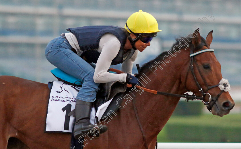 Drink-Dry-0001 
 DRINK DRY (Lucie Botti) training at the Dubai Racing Carnival
Meydan 4 Jan 2024 - Pic Steven Cargill / Racingfotos.com