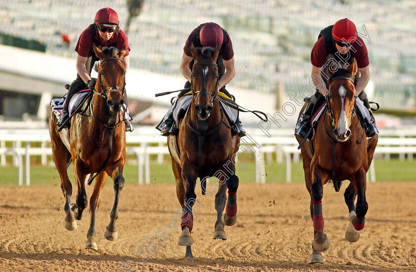 Broome,-Order-of-Australia-and-Cairo 
 BROOME (right) ORDER OF AUSTRALIA (centre) and CAIRO (left) training at the Dubai World Cup
Meydan, Dubai, 22 Mar 2023 - Pic Steven Cargill / Racingfotos.com