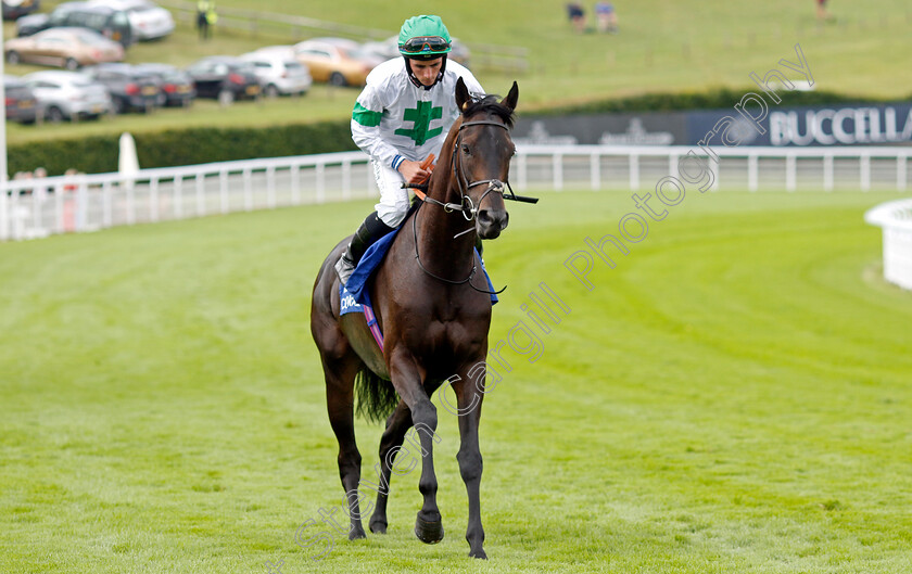 Lord-Protector-0001 
 LORD PROTECTOR (Rossa Ryan)
Goodwood 1 Aug 2023 - Pic Steven Cargill / Racingfotos.com