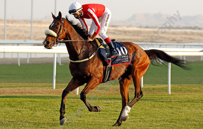 Simsir-0003 
 SIMSIR (Lee Newman) before winning The Bahrain International Trophy
Rashid Equestrian & Horseracing Club, Bahrain, 20 Nov 2020 - Pic Steven Cargill / Racingfotos.com