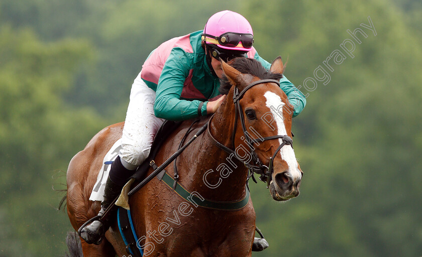 Schoodic-0005 
 SCHOODIC (Hadden Frost) wins The Mason Houghland Memorial Timber Chase
Percy Warner Park, Nashville Tennessee USA, 11 May 2019 - Pic Steven Cargill / Racingfotos.com