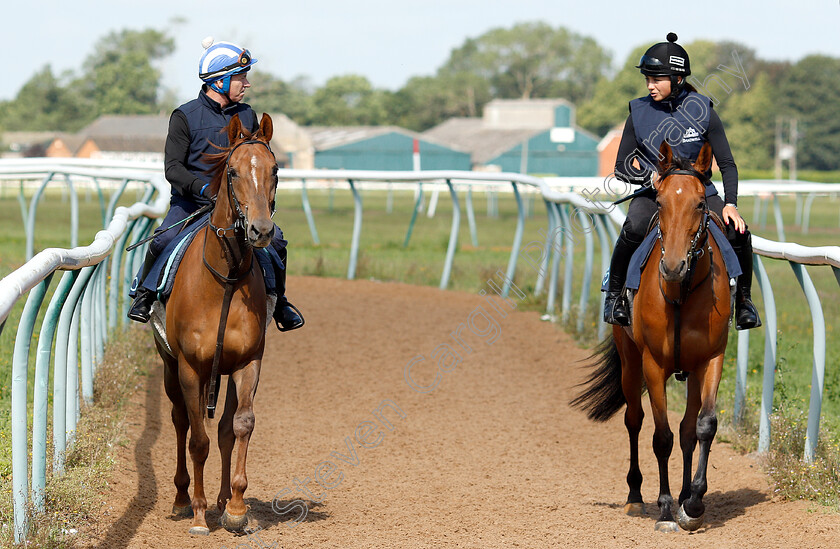 Bryony-Frost-0003 
 Richard Hills with Bryony Frost preparing arabian horses for the DIAR at Newbury
Newmarket 28 Jun 2019 - Pic Steven Cargill / Racingfotos.com