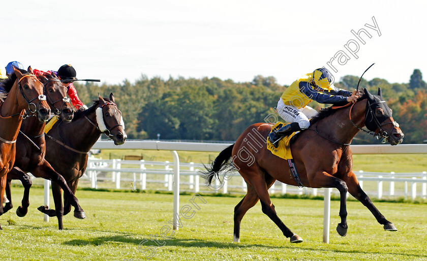 Desert-Encounter-0002 
 DESERT ENOCUNTER (Sean Levey) wins The Dubai Duty Free Legacy Cup Stakes Newbury 23 Sep 2017 - Pic Steven Cargill / Racingfotos.com