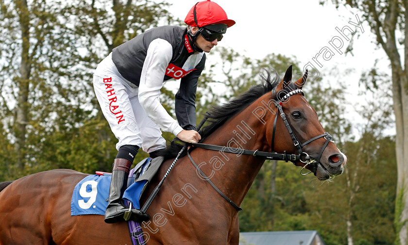 Megallan-0002 
 MEGALLAN (Robert Havlin) winner of The D & N Construction Sovereign Stakes
Salisbury 12 Aug 2021 - Pic Steven Cargill / Racingfotos.com