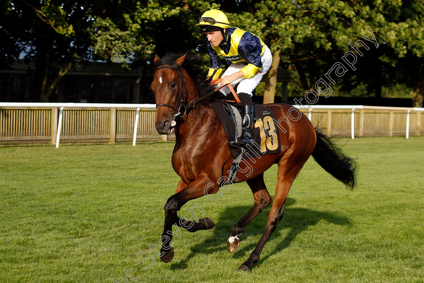 Spirit-Lead-Me-0001 
 SPIRIT LEAD ME (Finley Marsh)
Newmarket 9 Aug 2024 - Pic Steven Cargill / Racingfotos.com