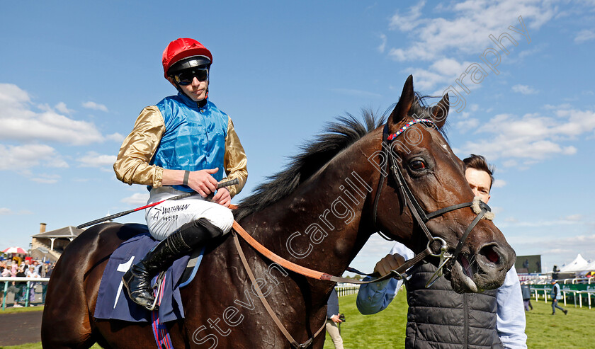 Aesterius-0008 
 AESTERIUS (James Doyle) winner of The Carlsberg Danish Pilsner Flying Childers Stakes
Doncaster 13 Sep 2024 - Pic Steven Cargill / Racingfotos.com