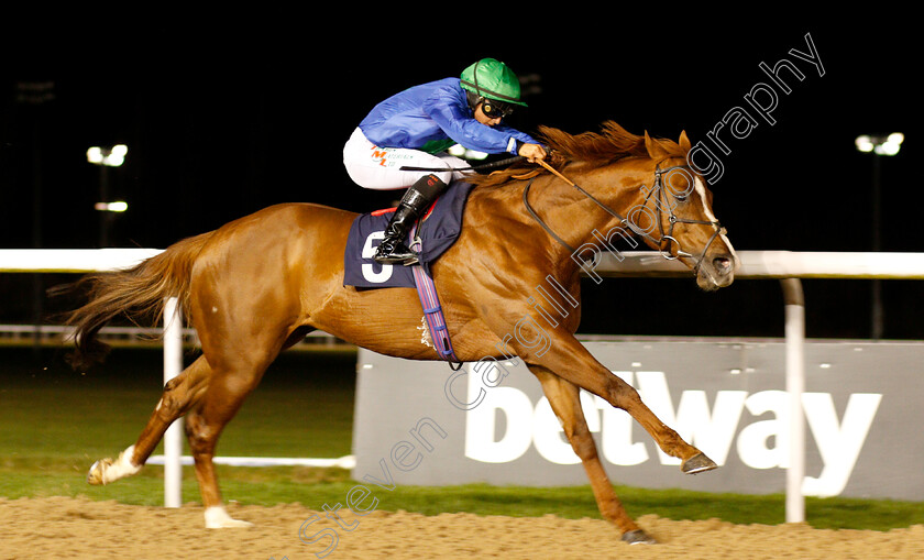 Hathal-0007 
 HATHAL (Nicola Currie) wins The Betway Conditions Stakes
Wolverhampton 7 Jan 2019 - Pic Steven Cargill / Racingfotos.com